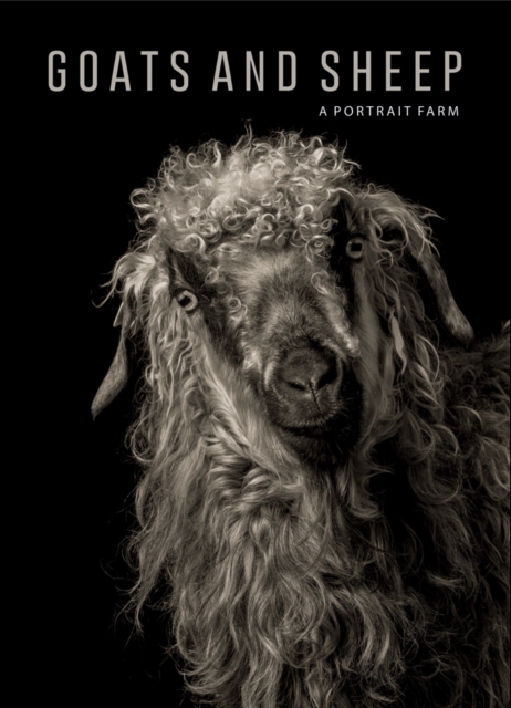 Goats and Sheep. A Portrait Farm, Hardback Book