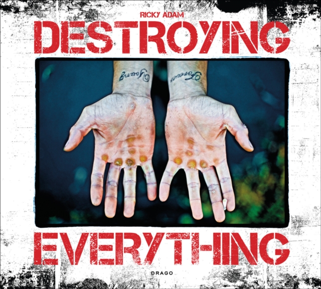 Destroying Everything : Seems Like the Only Option, Paperback / softback Book