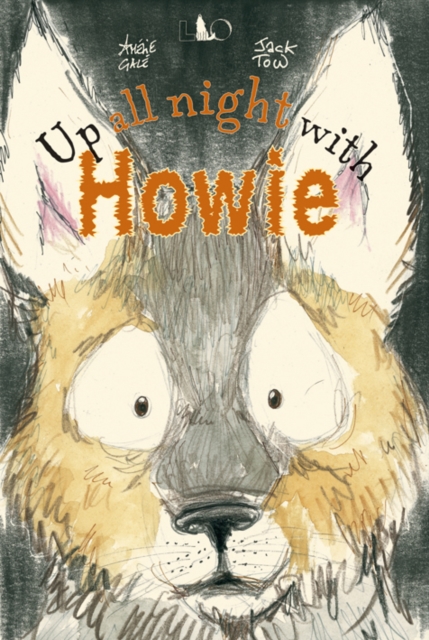 Up All Night with Howie, Hardback Book