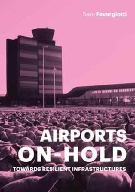 Airports on Hold, Paperback / softback Book