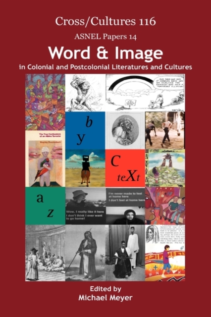 Word & Image in Colonial and Postcolonial Literatures and Cultures, Hardback Book