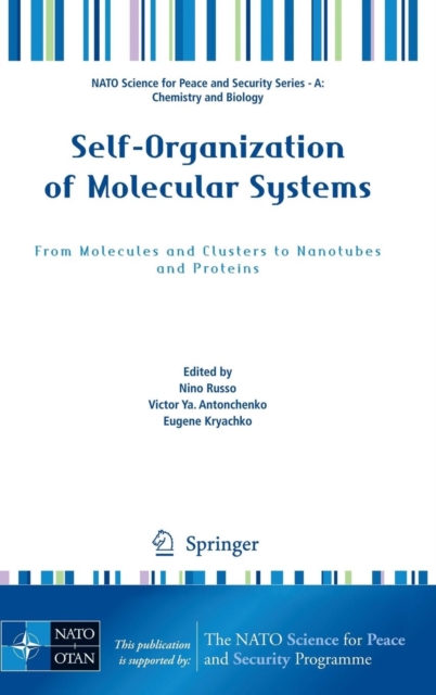 Self-Organization of Molecular Systems : From Molecules and Clusters to Nanotubes and Proteins, Hardback Book