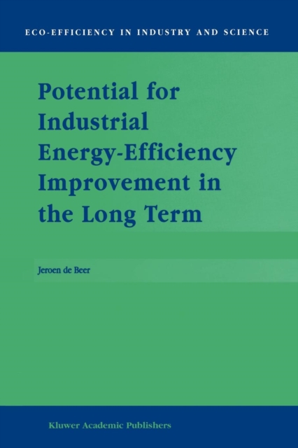 Potential for Industrial Energy-Efficiency Improvement in the Long Term, Paperback / softback Book