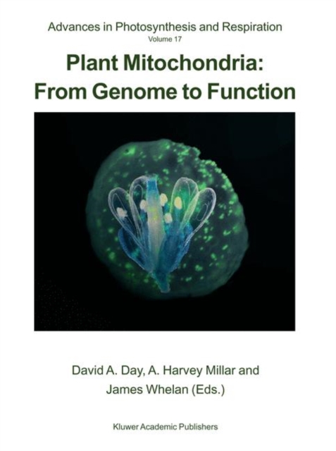 Plant Mitochondria: From Genome to Function, Paperback / softback Book