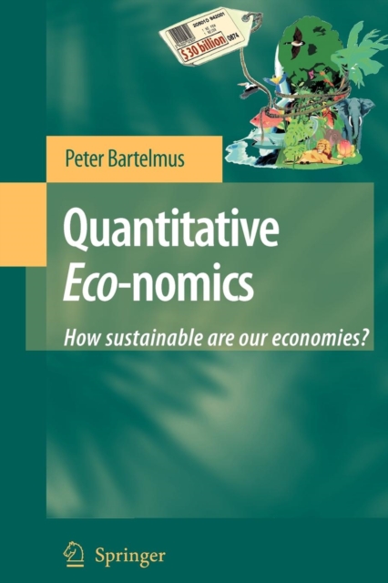 Quantitative Eco-nomics : How sustainable are our economies?, Paperback / softback Book