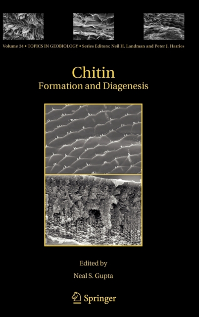 Chitin : Formation and Diagenesis, Hardback Book