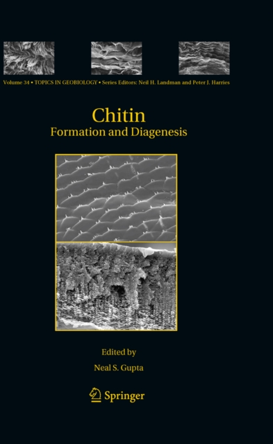 Chitin : Formation and Diagenesis, PDF eBook