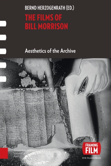 The Films of Bill Morrison : Aesthetics of the Archive, PDF eBook