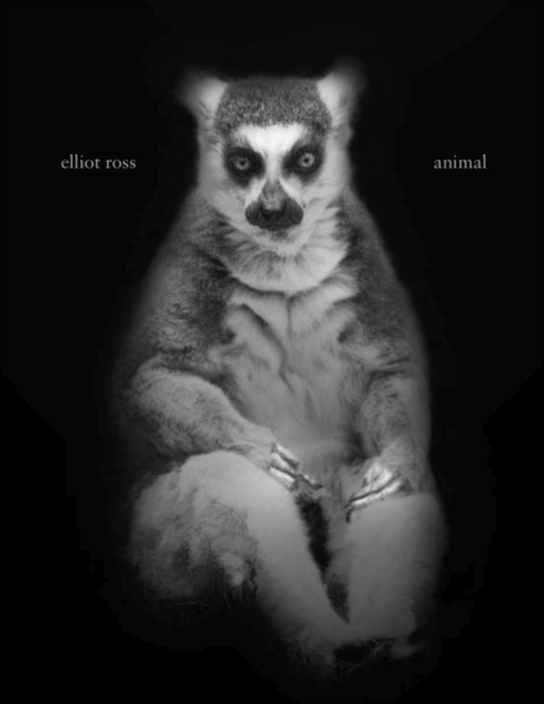 Elliot Ross : Animal, Hardback Book