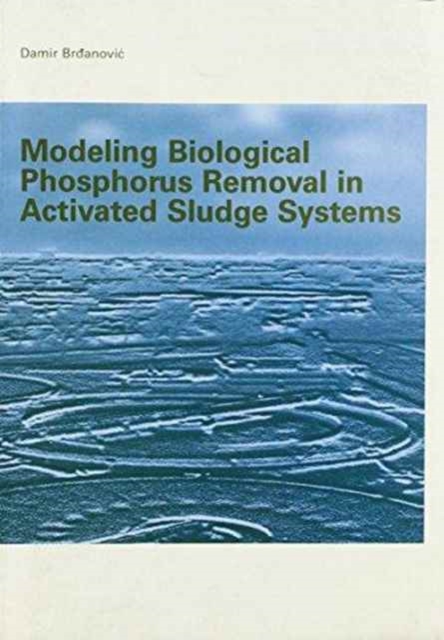 Modeling Biological Phosphorus Removal in Activated Sludge Systems, Paperback / softback Book