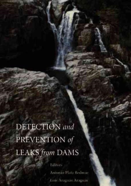 Detection and the Prevention of Leaks from Dams, Hardback Book