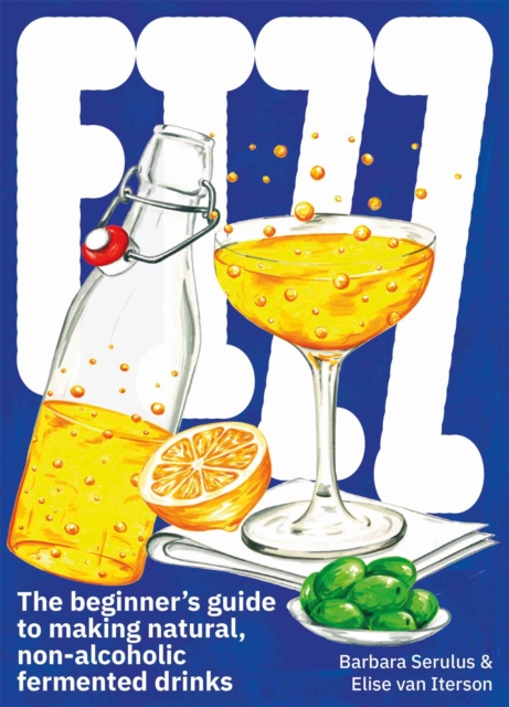 FIZZ : The Beginner's Guide to Making Natural, Non-Alcoholic Fermented Drinks, Paperback / softback Book