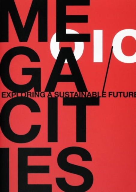 Megacities. Exploring a Sustainable Future, Paperback / softback Book