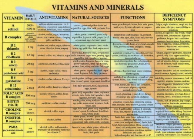 Vitamins & Minerals -- A4, Poster Book