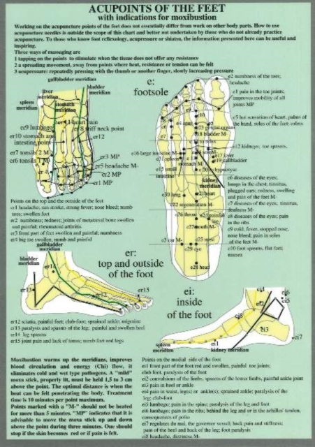 Acupoints of the Feet -- A4, Poster Book