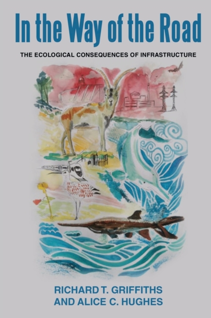 In the way of the Road : The Ecological Consequences of Infrastructure, Paperback / softback Book