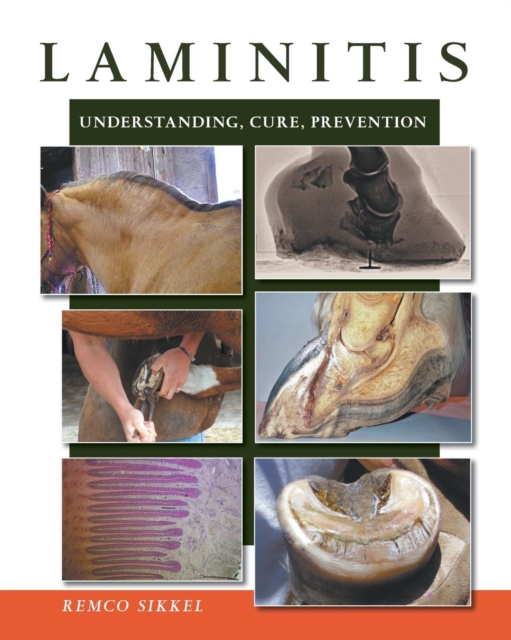 Laminitis : Understanding, Cure, Prevention, Paperback / softback Book