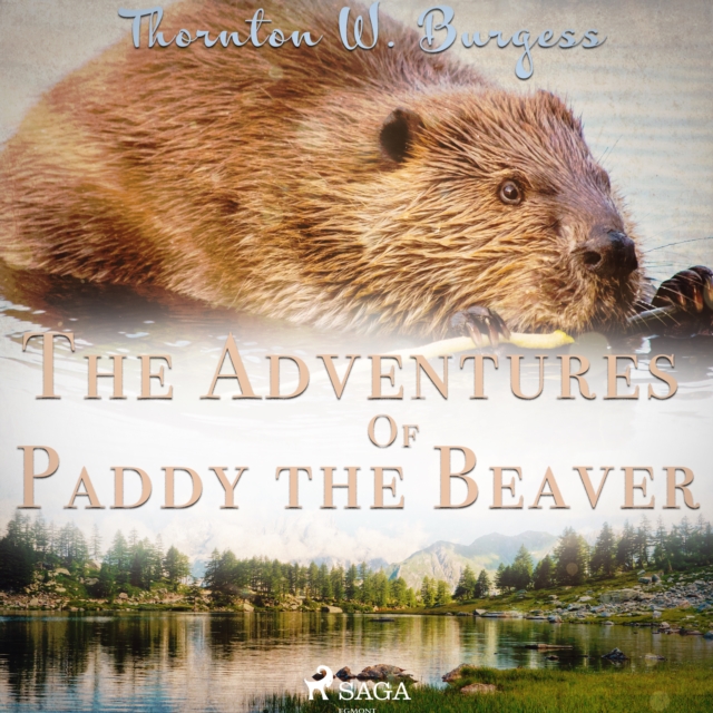 The Adventures of Paddy the Beaver, eAudiobook MP3 eaudioBook