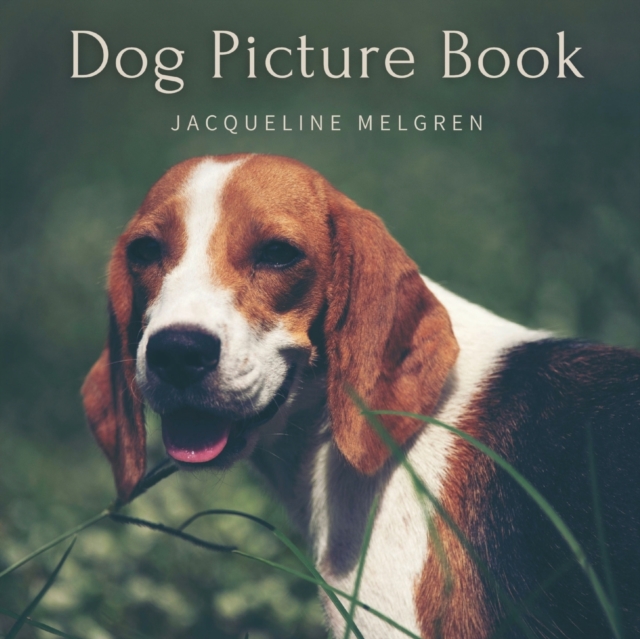 Dog Picture Book : For Elderly with Dementia. Alzheimer's activities for Women and Men., Paperback / softback Book