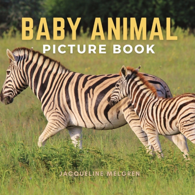 Baby Animal Picture Book : Dementia Patients Gifts for Someone You Love, Paperback / softback Book