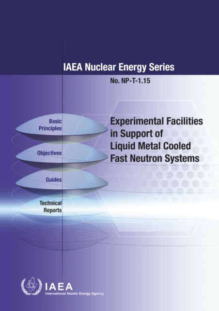 Experimental Facilities in Support of Liquid Metal Cooled Fast Neutron Systems, Paperback / softback Book