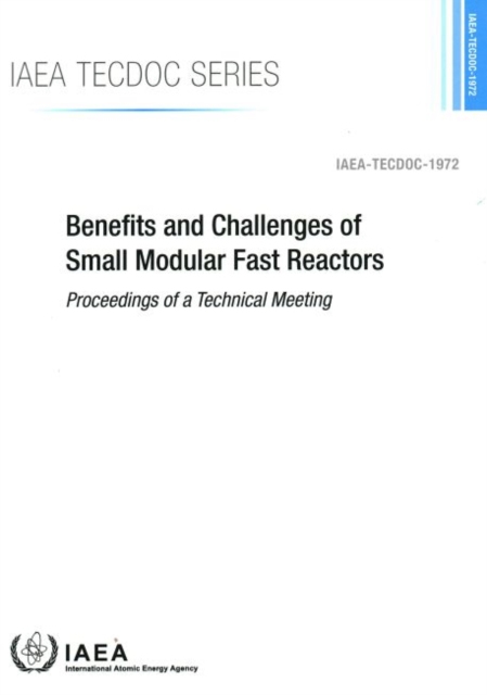 Benefits and Challenges of Small Modular Fast Reactors : Proceedings of a Technical Meeting, Paperback / softback Book
