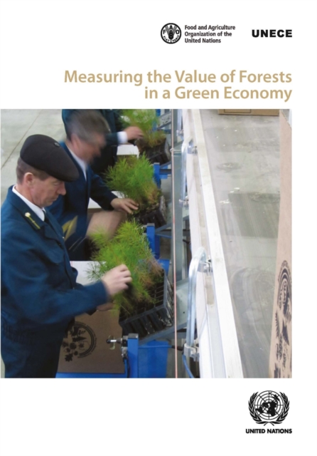 Measuring the value of forests in a green economy, Paperback / softback Book