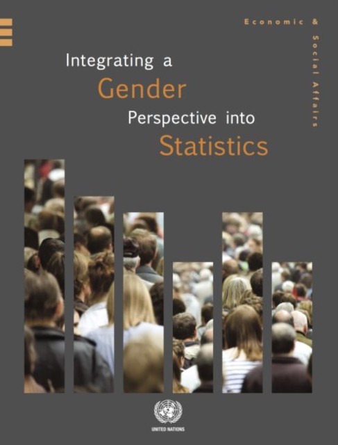 Integrating a gender perspective into statistics, Paperback / softback Book