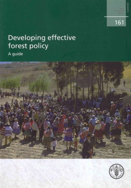 Developing Effective Forest Policy : A Guide, Paperback / softback Book