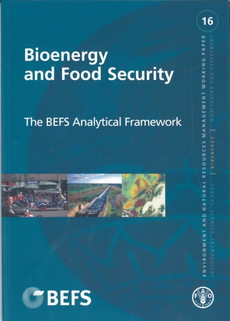 Bioenergy and Food Security : The BEFS Analytical Framework, Paperback / softback Book