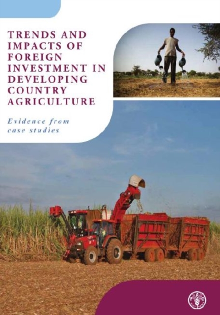 Trends and Impacts of Foreign Investment in Developing Country Agriculture : Evidence from Case Studies, Paperback Book