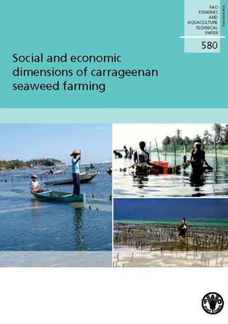 Social and economic dimensions of carrageenan seaweed farming, Paperback / softback Book