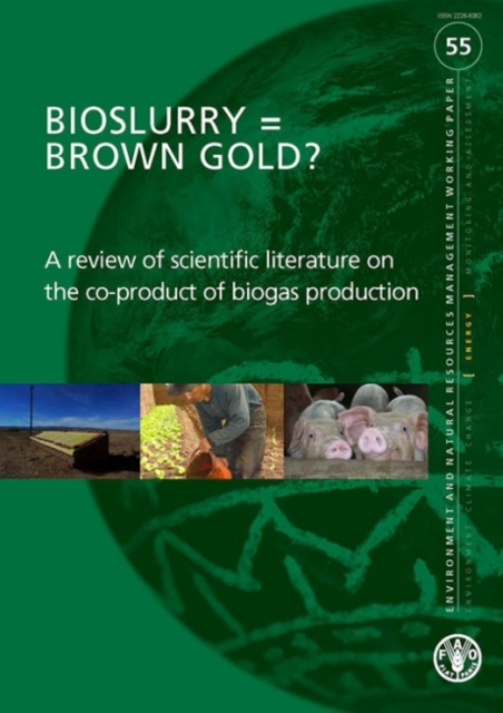 Bioslurry = brown gold? : a review of scientific literature on the co-product of biogas production, Paperback / softback Book