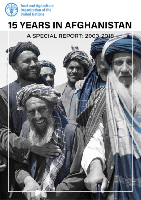 15 years in Afghanistan, Paperback / softback Book