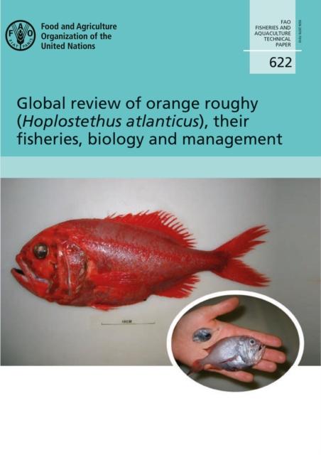 Global review of Orange Roughy (Hoplostethus atlanticus), their fisheries, biology and management, Paperback / softback Book