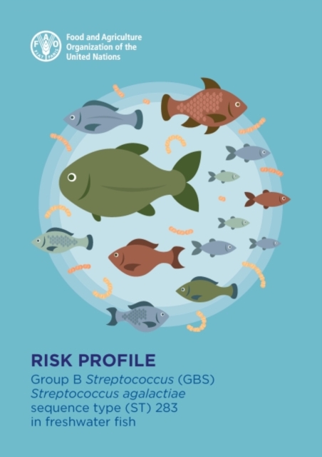 Risk profile : Group B Streptococcus (GBS)Streptococcus agalactiae sequence type (ST) 283in freshwater fish, Paperback / softback Book