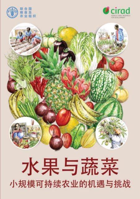Fruit and Vegetables (Chinese Edition) : Opportunities and Challenges for SmallScale Sustainable Farming, Paperback / softback Book