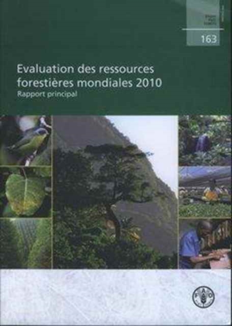 Evaluation des ressources forestieres mondiales : Rapport principal, 2010, Paperback / softback Book