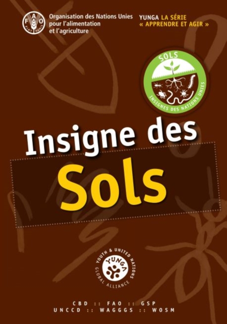 Insigne des sols, Paperback / softback Book