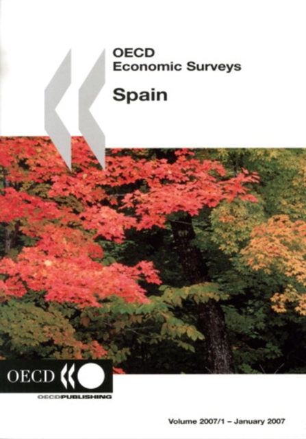 OECD Economic Surveys: Spain 2007, PDF eBook