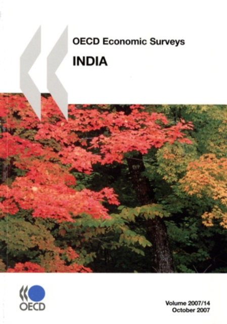 OECD Economic Surveys: India 2007, PDF eBook
