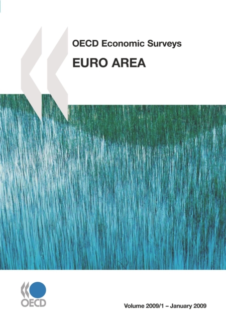 OECD Economic Surveys: Euro Area 2009, PDF eBook