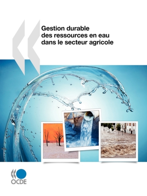 Gestion durable des ressources en eau dans le secteur agricole, Paperback / softback Book