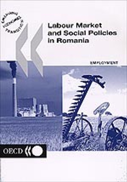 Labour Market and Social Policies in Romania, PDF eBook
