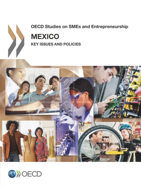 OECD Studies on SMEs and Entrepreneurship Mexico: Key Issues and Policies, PDF eBook