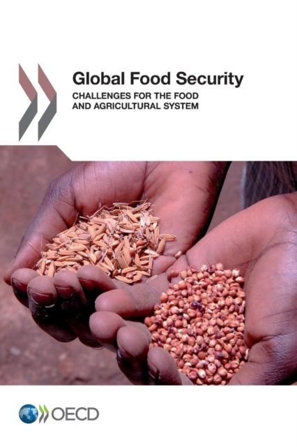 Global food security : challenges for the food and agricultural system, Paperback / softback Book