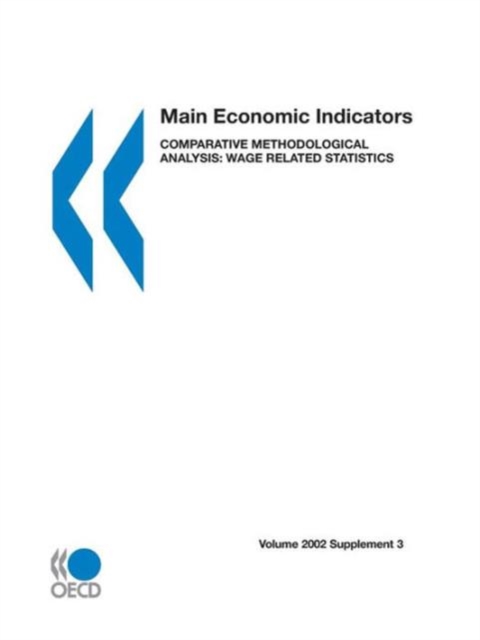 Main Economic Indicators: Comparative Methodological Analysis: Earnings, Labour Costs and Labour Price Indicators (Supplement 4), Paperback / softback Book