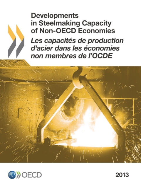 Developments in Steelmaking Capacity of Non-OECD Economies 2013, PDF eBook