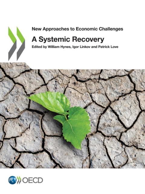 New Approaches to Economic Challenges A Systemic Recovery, PDF eBook