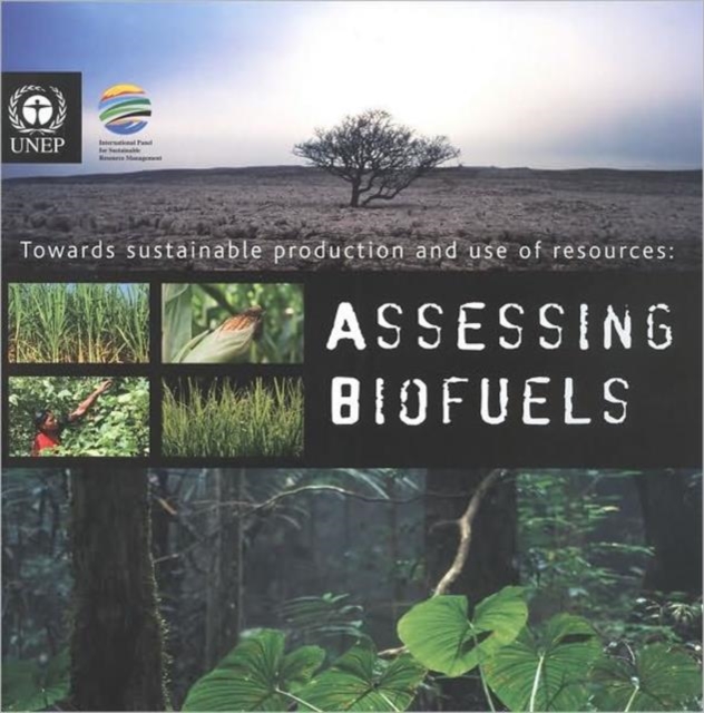 Towards Sustainable Production and Use of Resources : Assessing Biofuels, Mixed media product Book